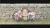 save our bacon