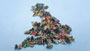 Guidian 'Great British Walks'
